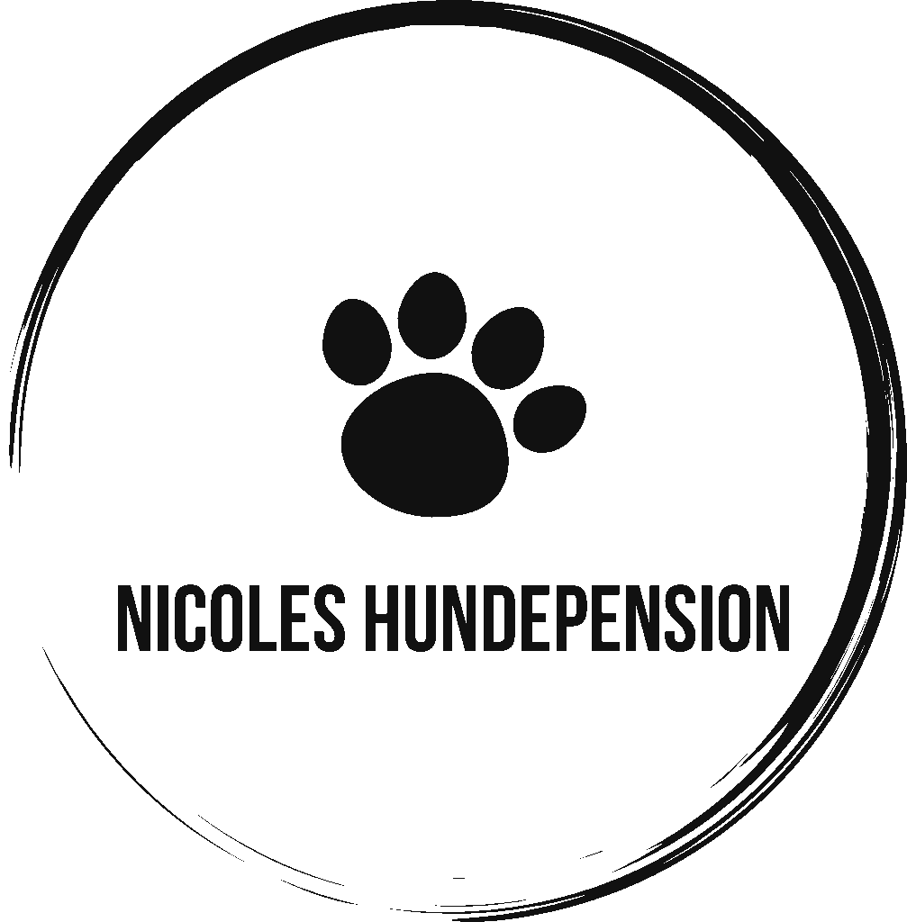 Hundepension Aarwangen liebevolle Hundebetreuung Hundepension Aarwangen liebevolle Hundebetreuung
